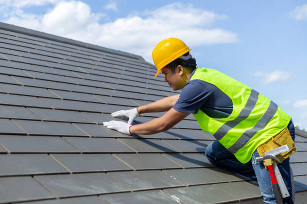 Best Roof Gutter Cleaning  in Taft Heights, CA